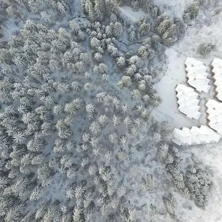 Комплекс Райковски Лодж *