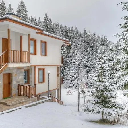 Комплекс Райковски Лодж Pamporovo